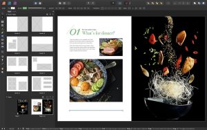 Adobe InDesign 2024 v19.3