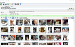 Bulk Image Downloader 6.46