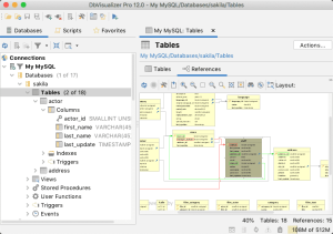 DbVisualizer Pro 24.2.1