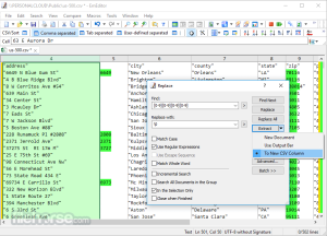 Emurasoft EmEditor Professional 24.1.2