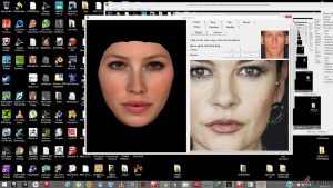 FaceGen Artist Pro 3.12