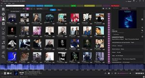 Helium Music Manager 17.1.154 Premium