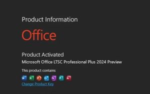 Microsoft Office 2024 Professional Plus