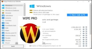 Wipe Professional 2024.07