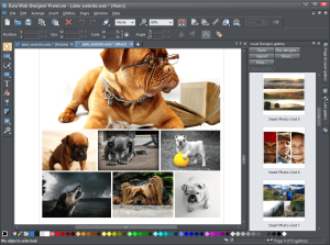 Xara Web Designer Premium 19.0.1.65946