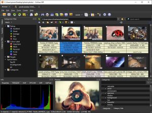 XnViewMP 1.7.2.0